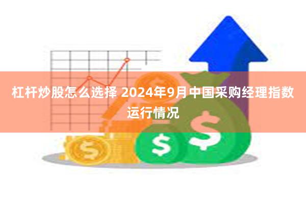 杠杆炒股怎么选择 2024年9月中国采购经理指数运行情况