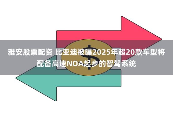 雅安股票配资 比亚迪被曝2025年超20款车型将配备高速NO