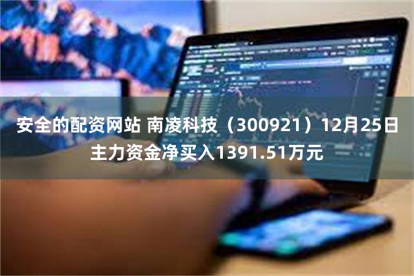 安全的配资网站 南凌科技（300921）12月25日主力资金