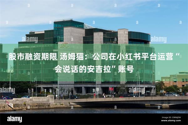 股市融资期限 汤姆猫：公司在小红书平台运营“会说话的安吉拉”